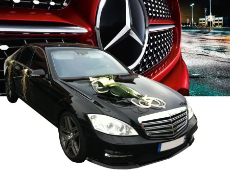 Mercedes classe S - 2012